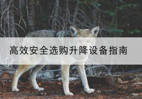 雅江升降货梯厂家推荐-*安全选购升降设备指南