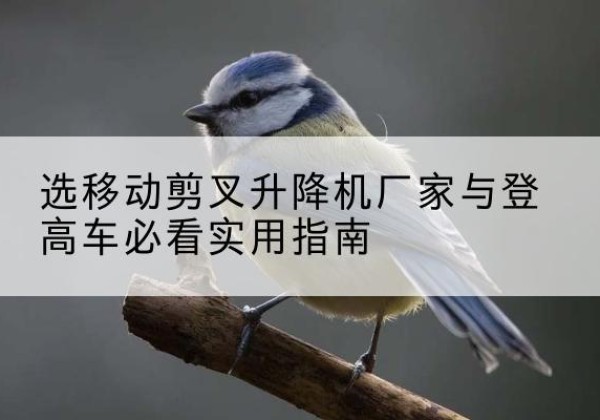 雅江电动升降机厂家-选移动剪叉升降机厂家与登高车必看实用指南